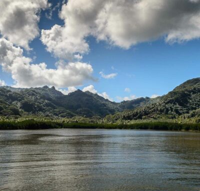 La distillerie mana'o au coeur des paysages idylliques de la Polynésie françaises